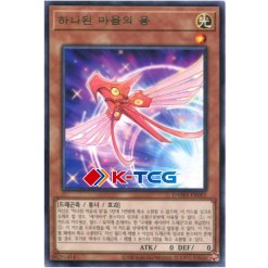 Yugioh Card "Converging Wills Dragon" DAMA-KR001 Rare korean Ver - K-TCG