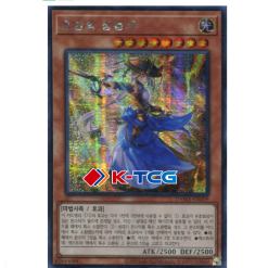 Yugioh Card "The Iris Swordsoul" DAMA-KR009 Secret Rare korean Ver - K-TCG