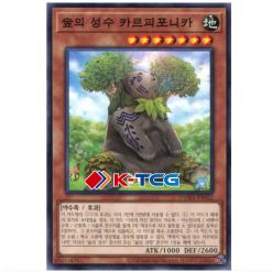 Yugioh Card "Carpiponica, Mystical Beast of the Forest" DAMA-KR022 Common korean Ver - K-TCG