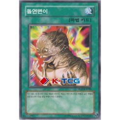 Yugioh Card "Metamorphosis" PGD-KR090 Korean Ver Common - K-TCG