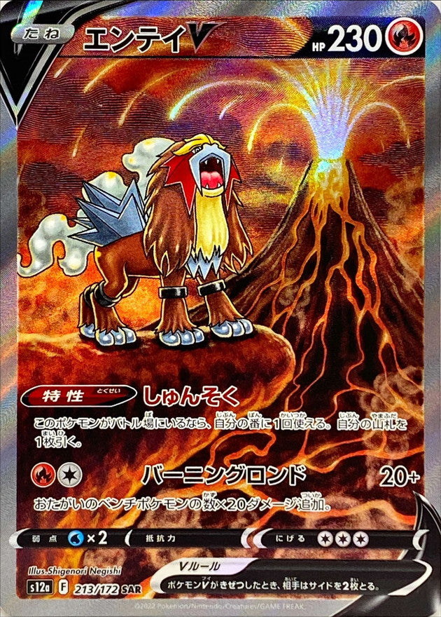 Pokemon Card Entei Suicune Raikou V SAR 213 215 218/172 s12a VSTAR Uni –  GLIT Japanese Hobby Shop